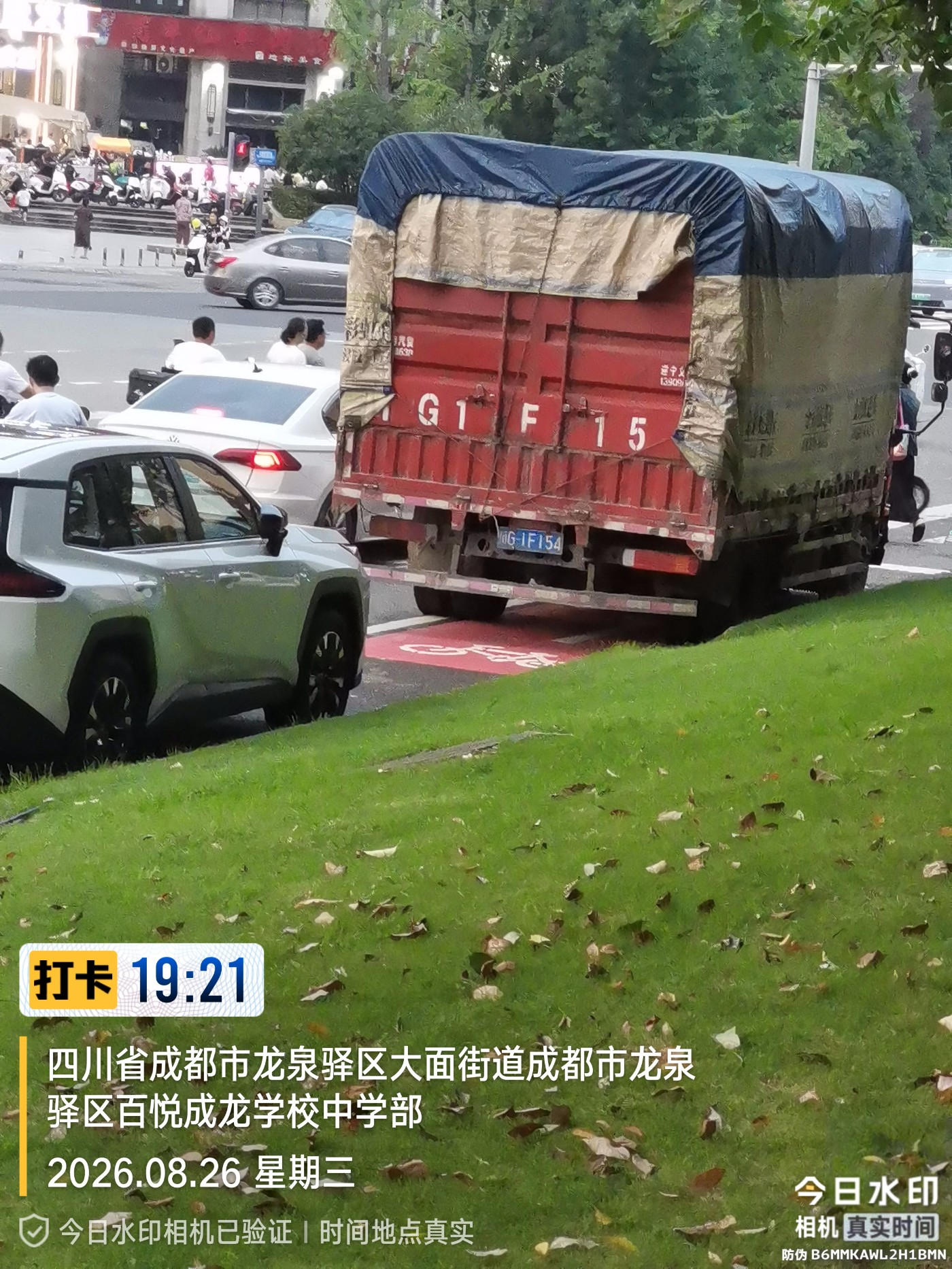 IMG_20260826_192133699.jpg