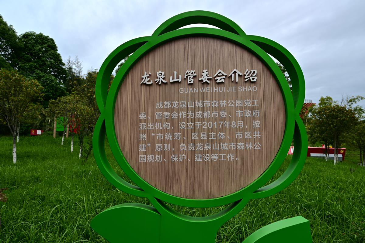 DSC_9749_����.jpg