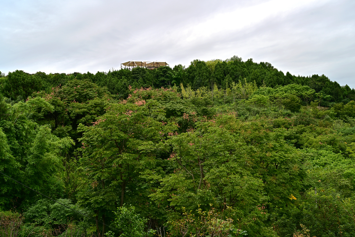 DSC_9701_����.jpg