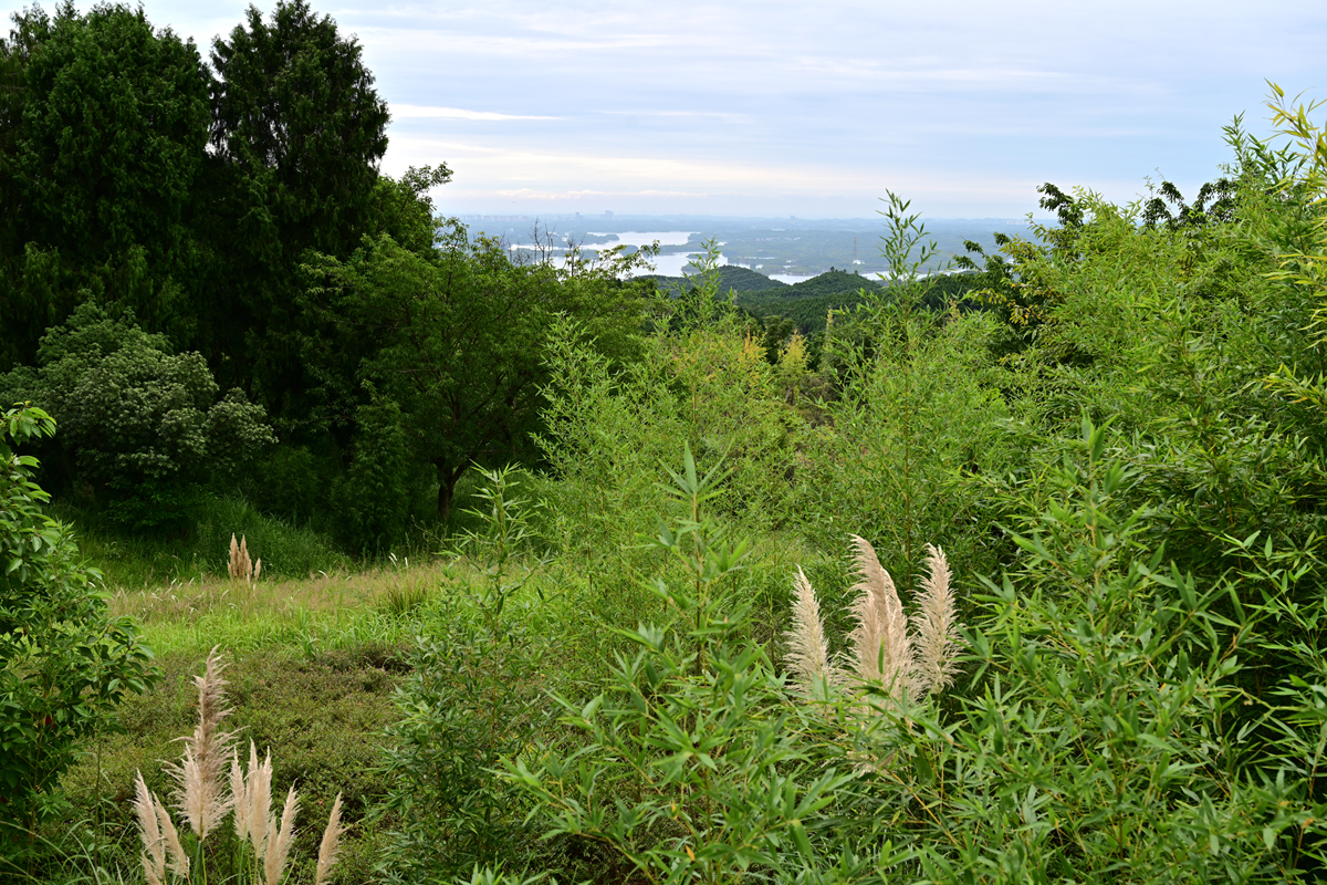 DSC_9712_����.jpg