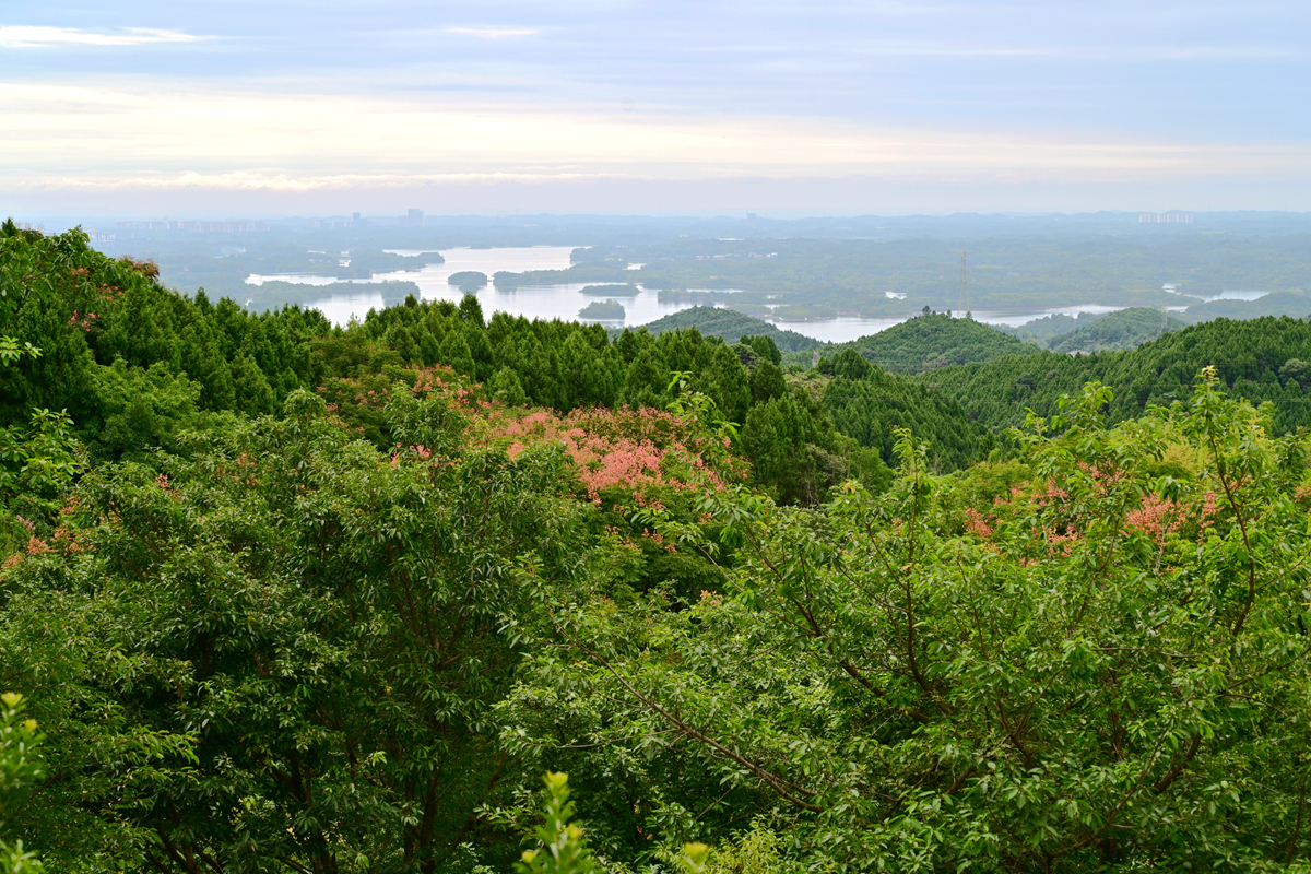 DSC_9715_����.jpg