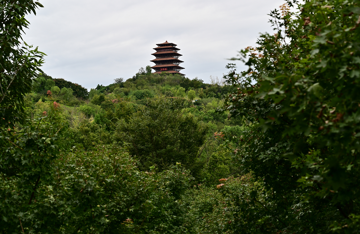 DSC_9721_����.jpg