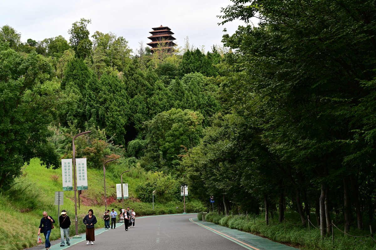 DSC_9726_����.jpg