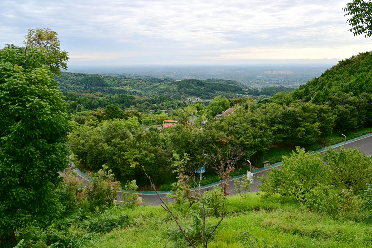 DSC_9734_����.jpg