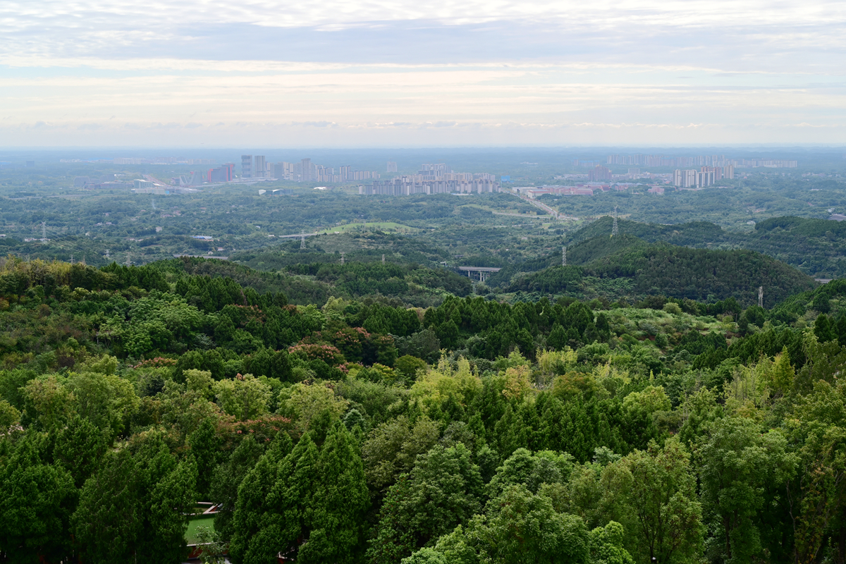 DSC_9793_����.jpg