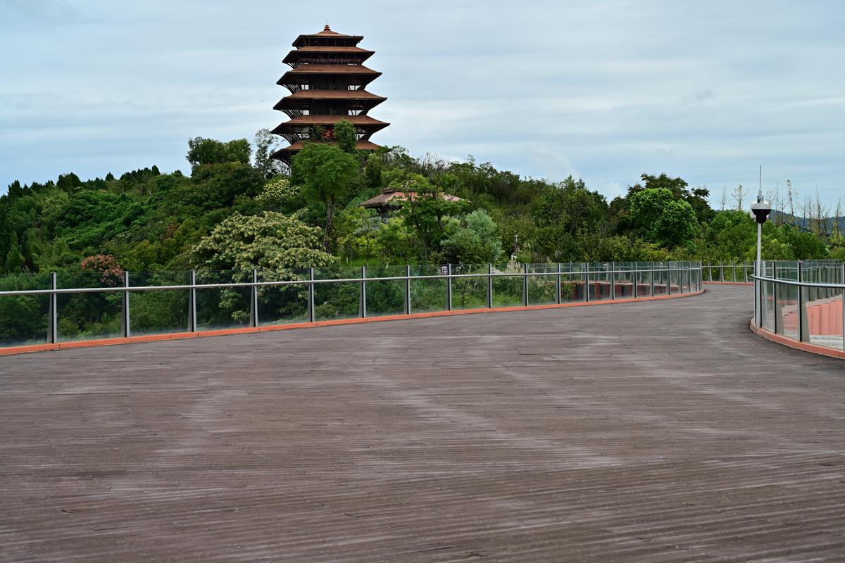 DSC_9799_����.jpg