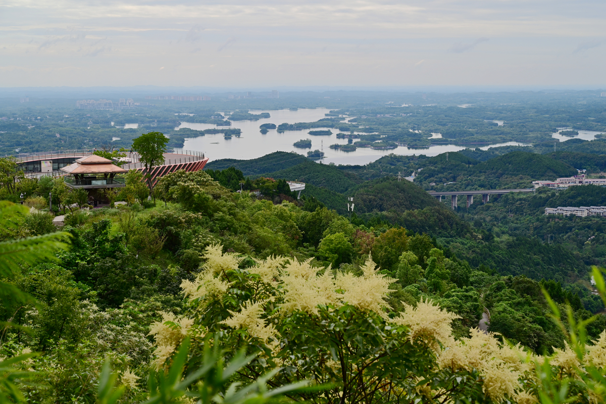 DSC_9822_����.jpg