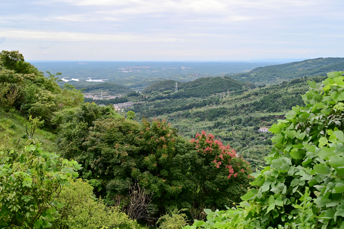DSC_9827_����.jpg
