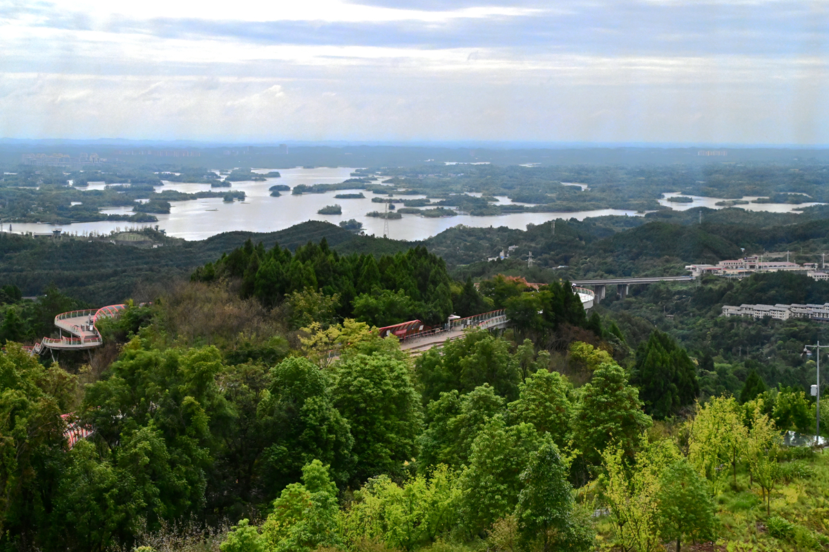 DSC_9860_����.jpg