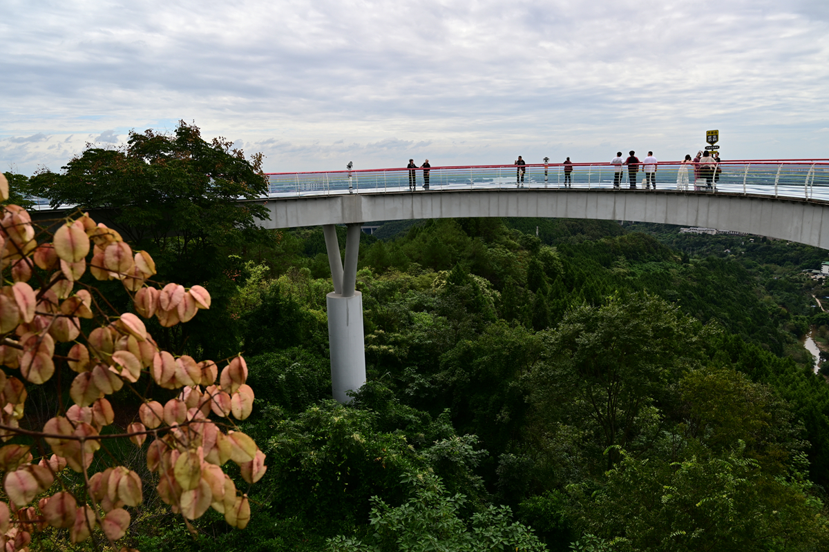 DSC_9892_����.jpg