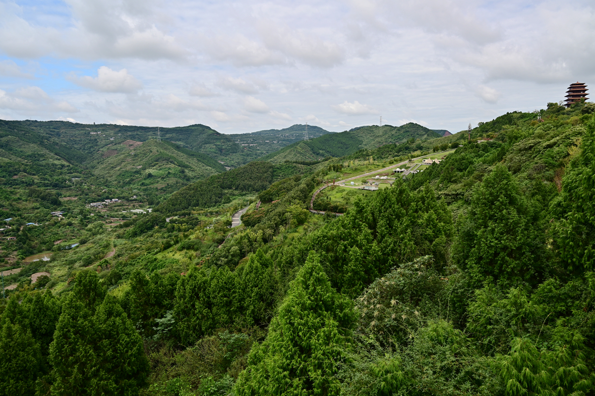 DSC_9893_����.jpg