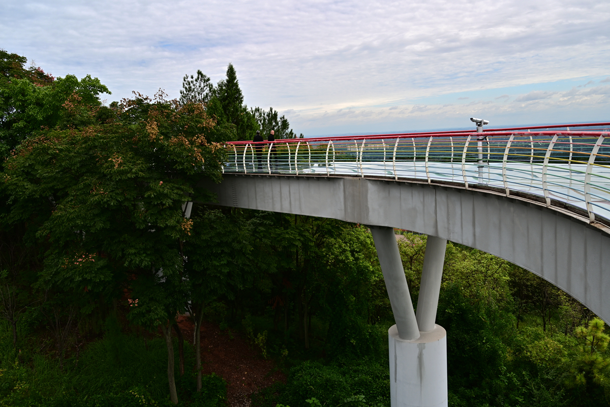 DSC_9898_����.jpg