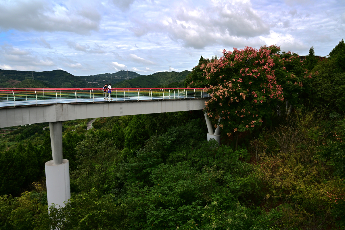 DSC_9906_����.jpg
