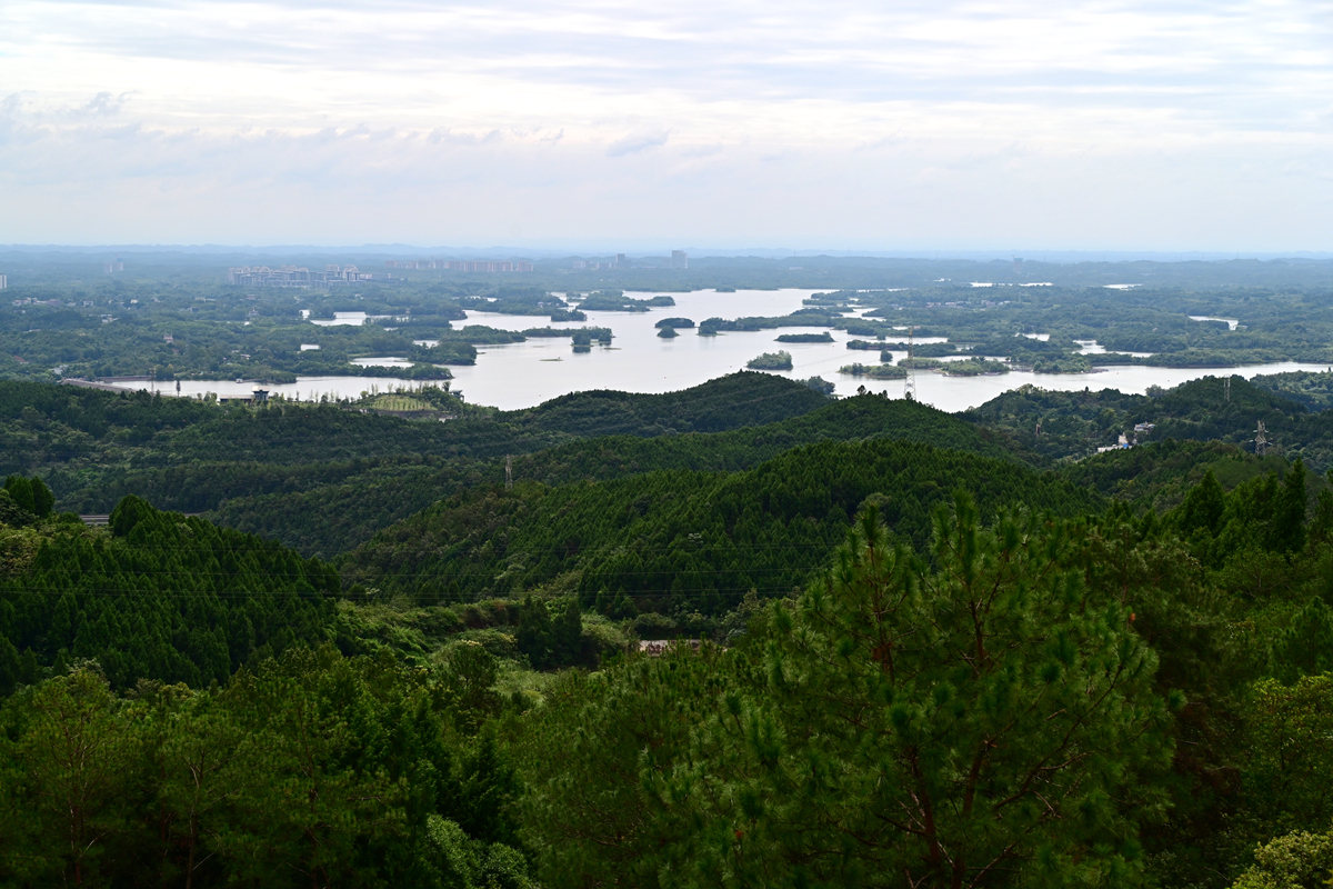 DSC_9918_����.jpg