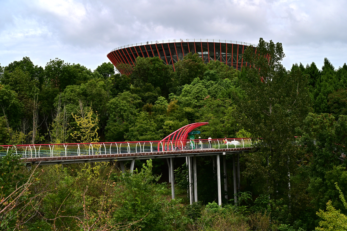 DSC_9923_����.jpg