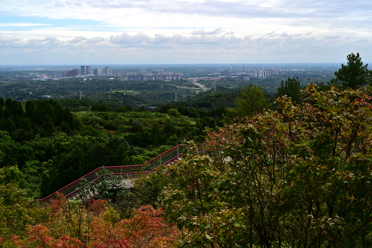 DSC_9925_����.jpg