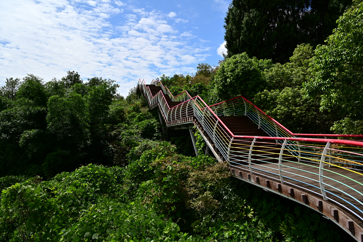 DSC_9930_����.jpg