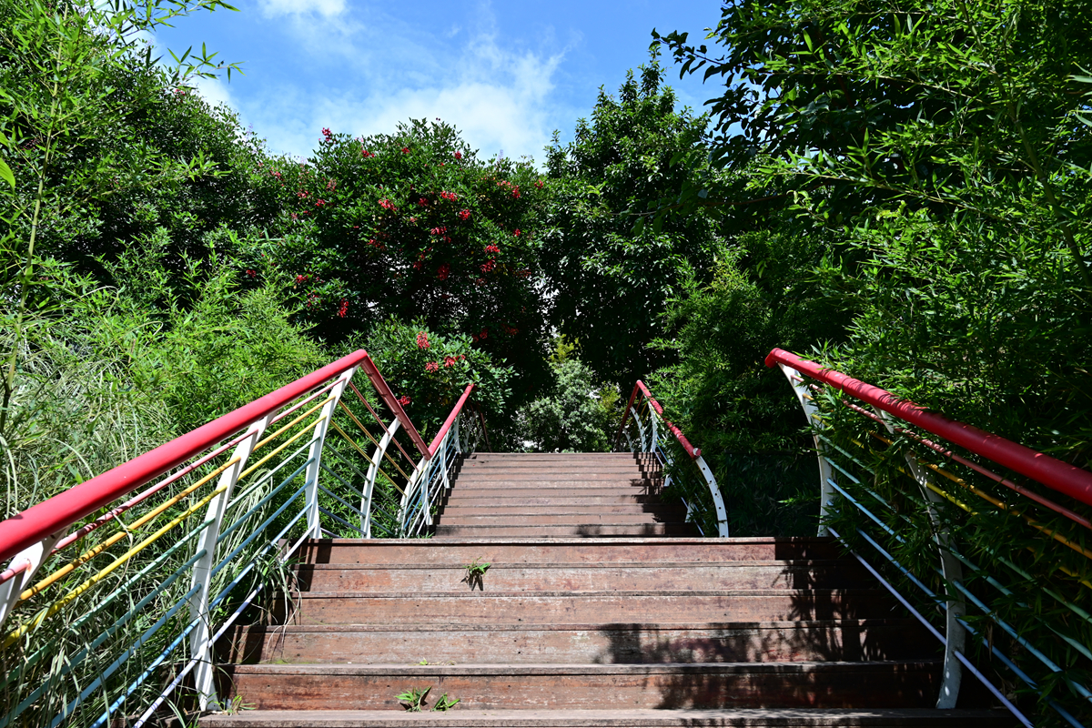DSC_9937_����.jpg