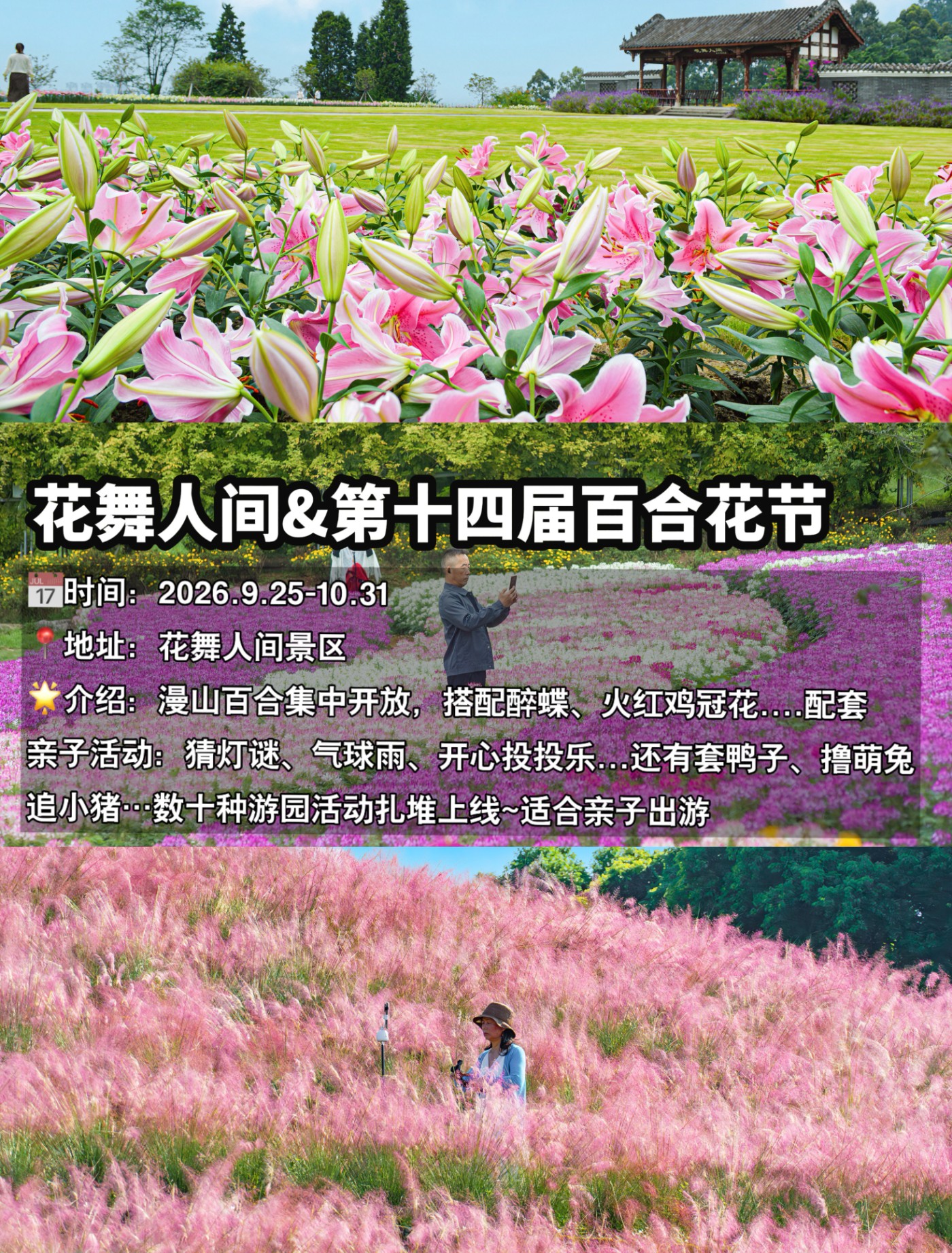 image_17.jpg