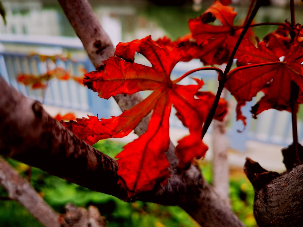 20260923201531front2_0_7958371_FvPbx8i08LlLle9T2E66IpuHyPze.jpg