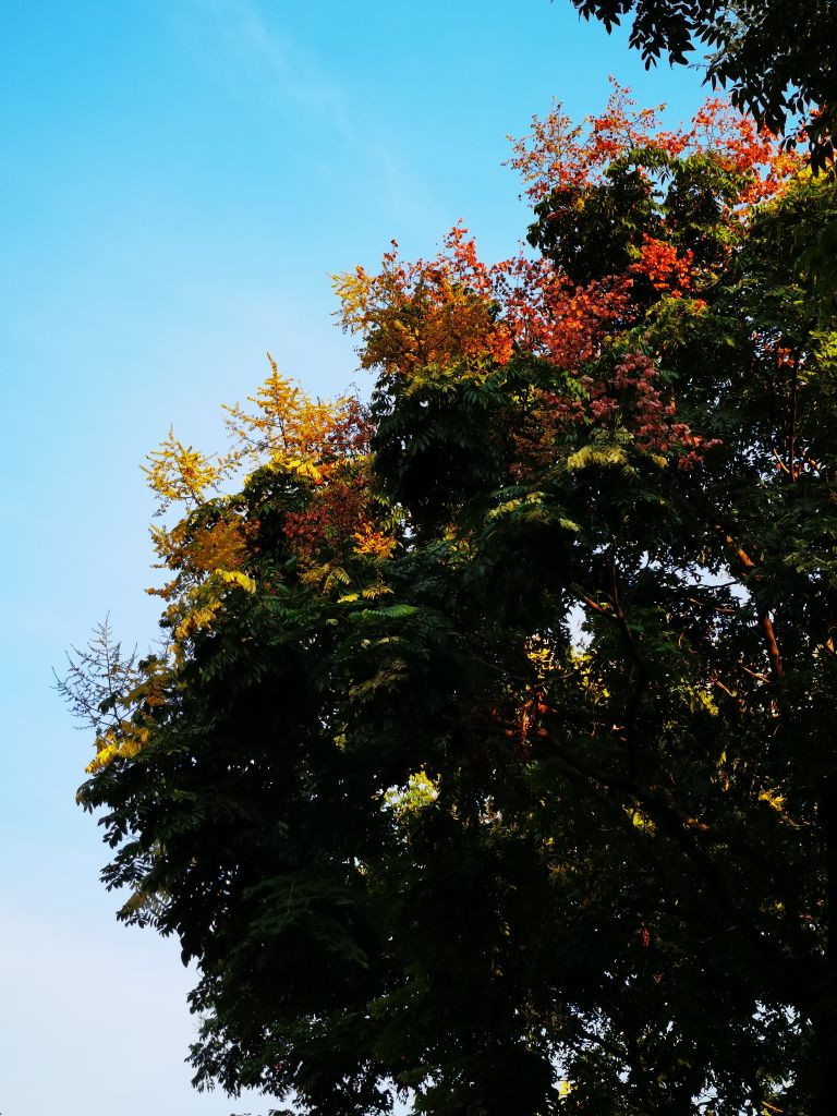 20260923201532front2_0_7958371_FqDxmj4XwbmaornBbA3S5ZgQDxYW.jpg