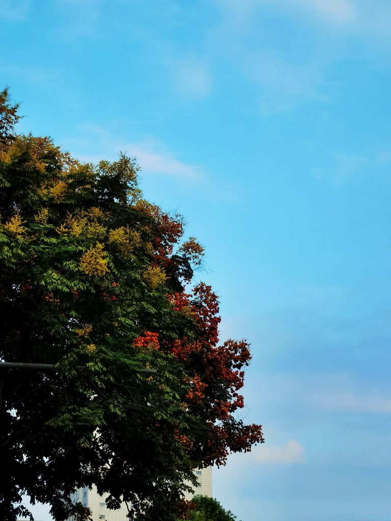 20260923201532front2_0_7958371_FtZQNLOouwpDacyM45QpiFT-4atp.jpg