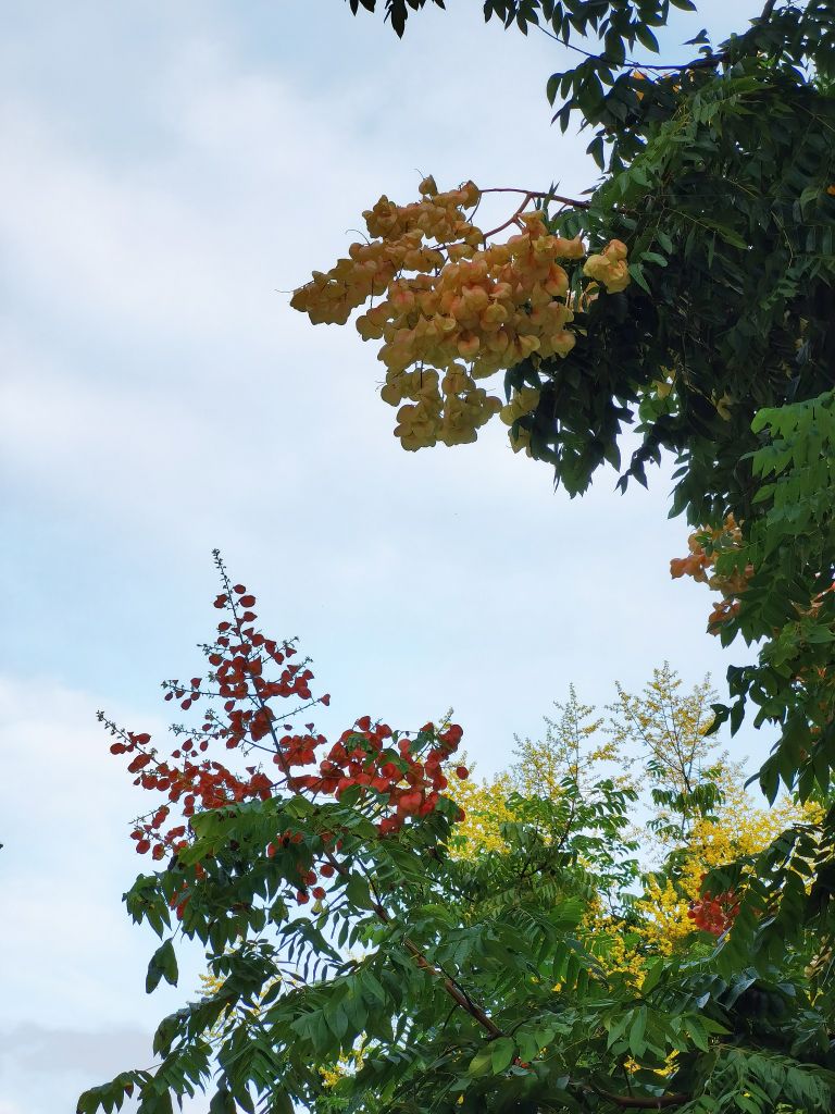 20260923201532front2_0_7958371_Fm9c08ePCs7nuxf8W9tmBLTxgPMB.jpg