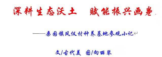 1790248218760.png