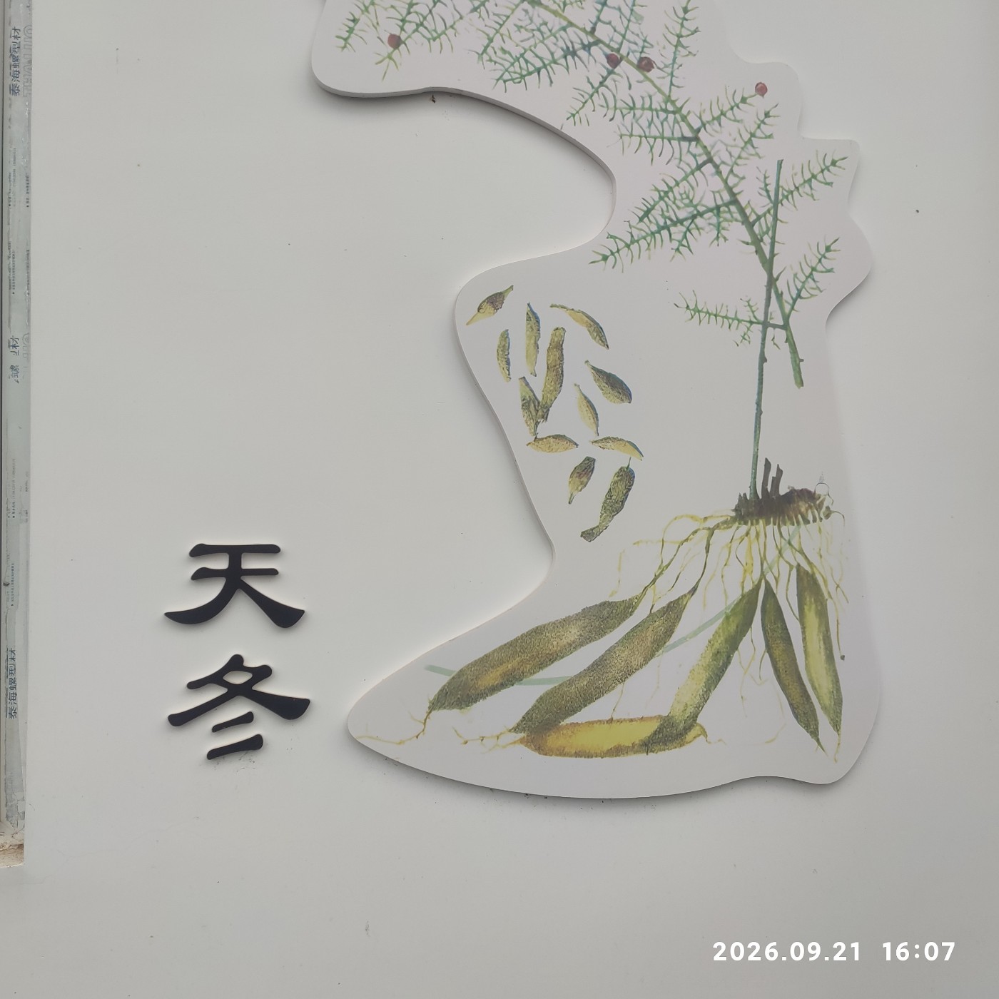 1790248839942.jpg