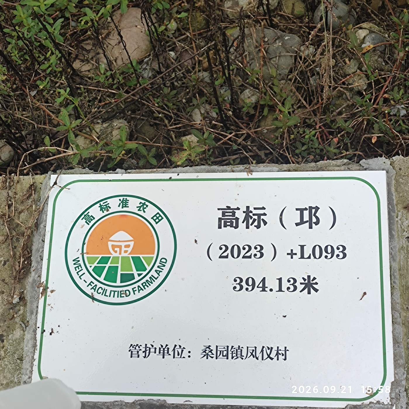 1790248840275.jpg