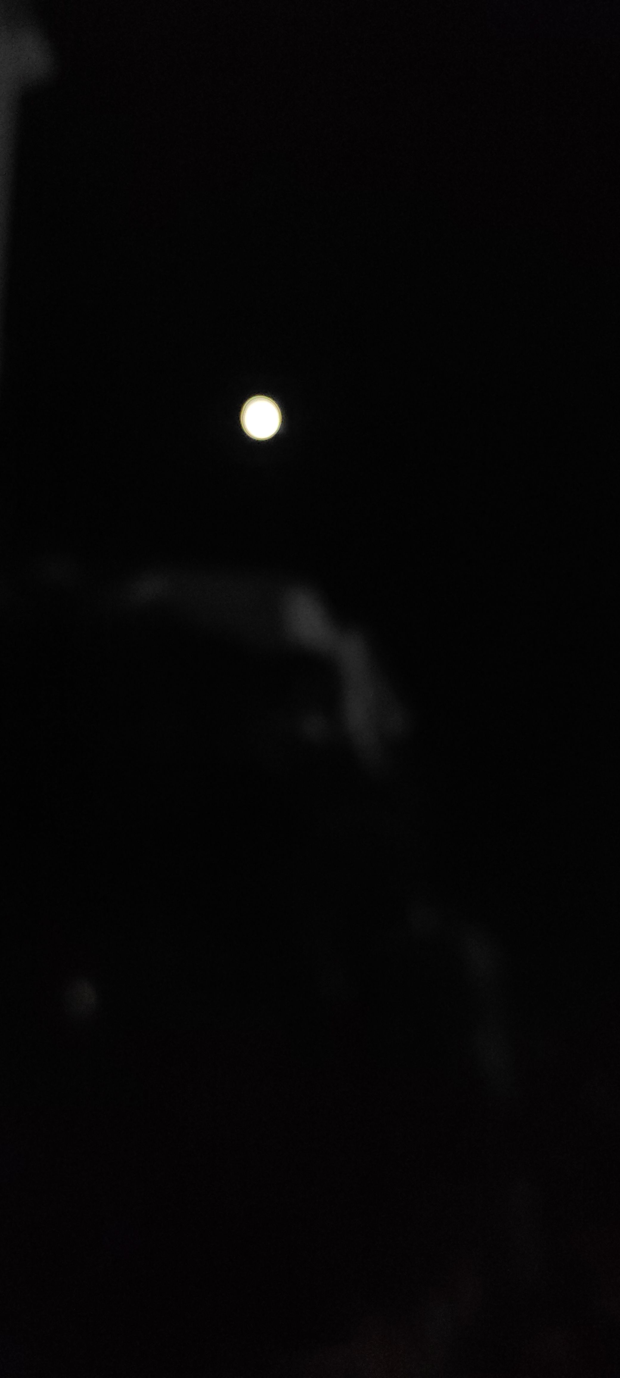 20260925222957front2_0_33691_FnTDvaN5Aox7bbwCfx_GhcBsOurI.jpg