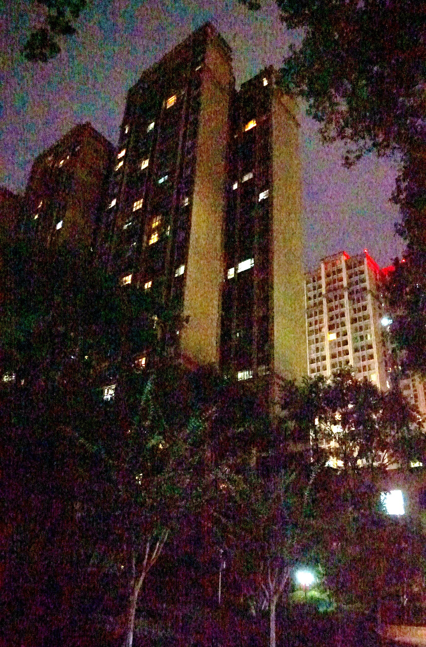 DSC09338_����.jpg