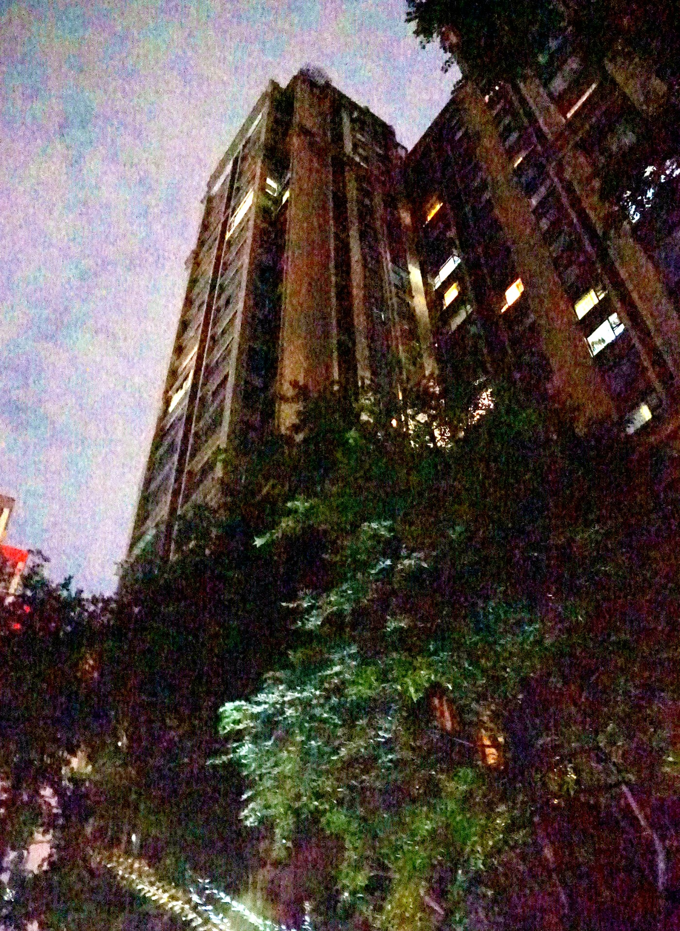 DSC09345_����.jpg