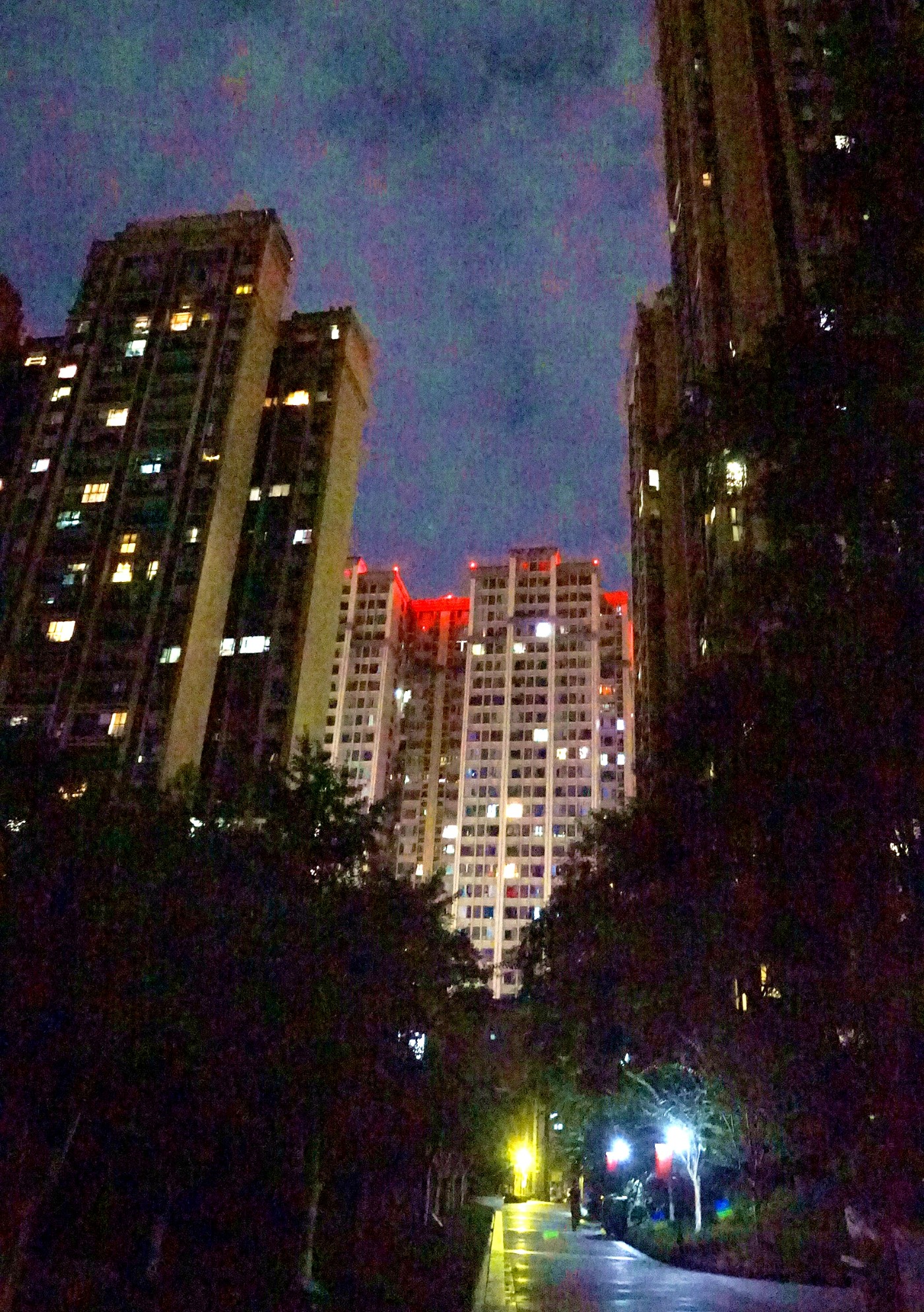 DSC09331_����.jpg
