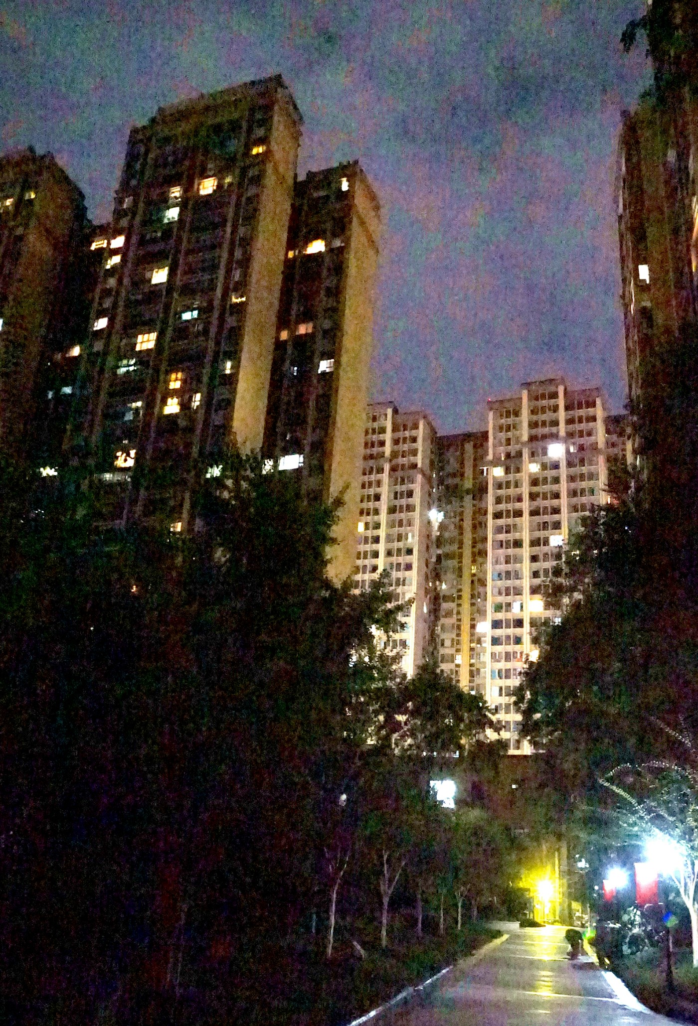 DSC09334_����.jpg