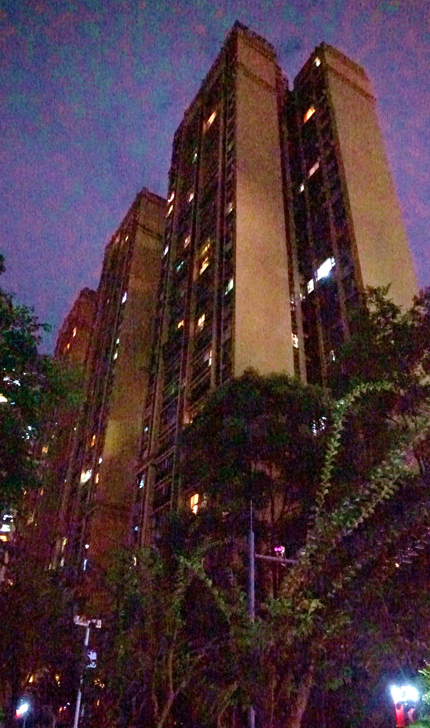 DSC09344_����.jpg