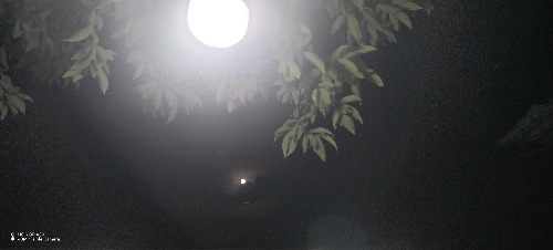 IMG_20260925_200159.jpg