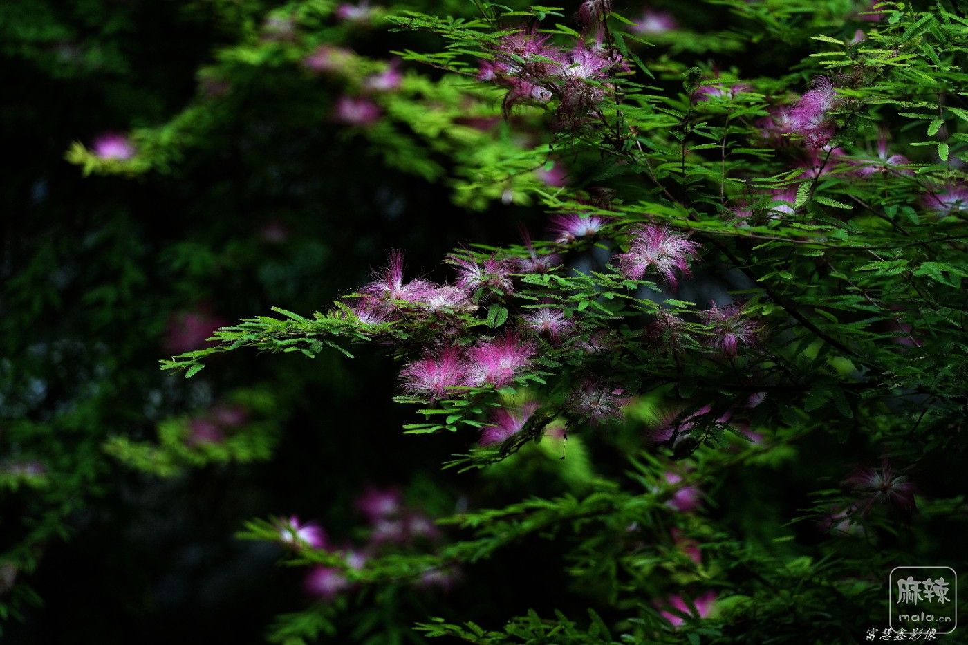 DSC07698_����.jpg
