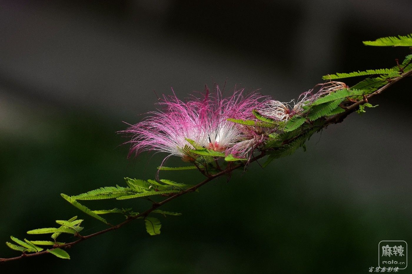 DSC07706_����.jpg