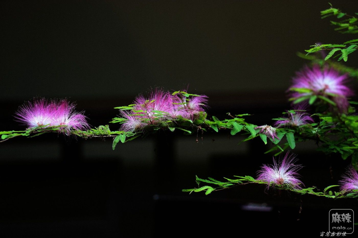 DSC07713_����.jpg