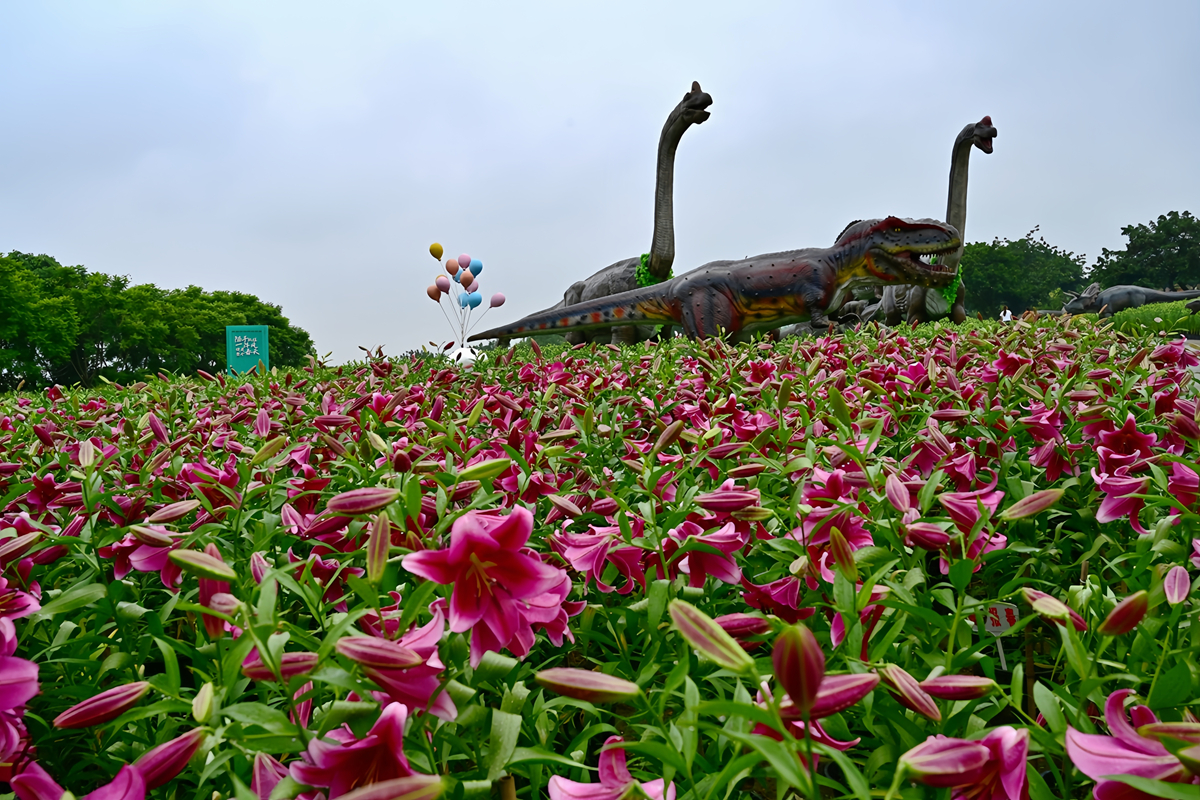 DSC_9956_����.jpg