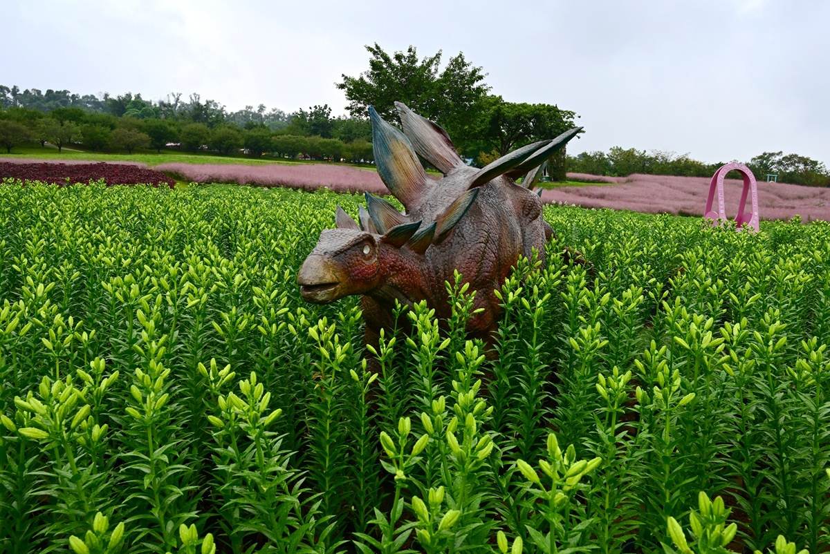 DSC_9971_����.jpg