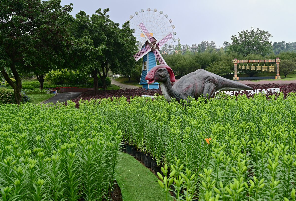 DSC_9973_����.jpg