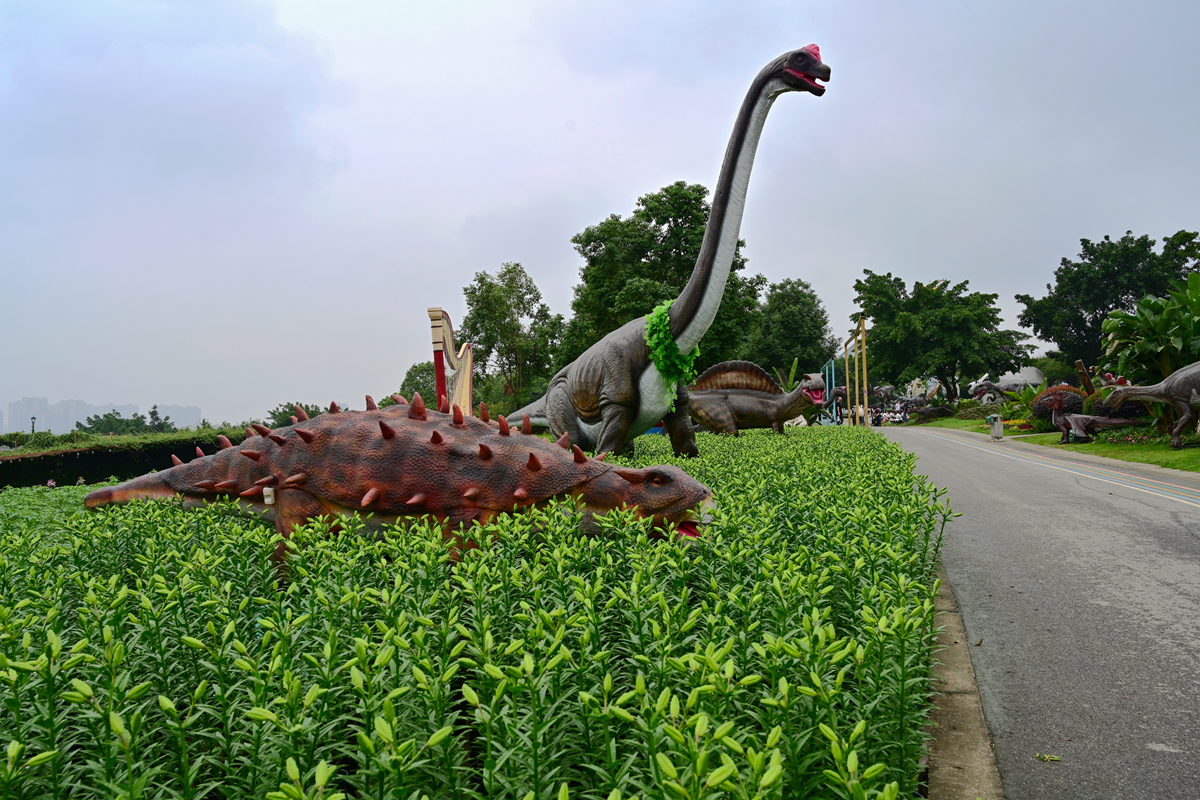DSC_9976_����.jpg