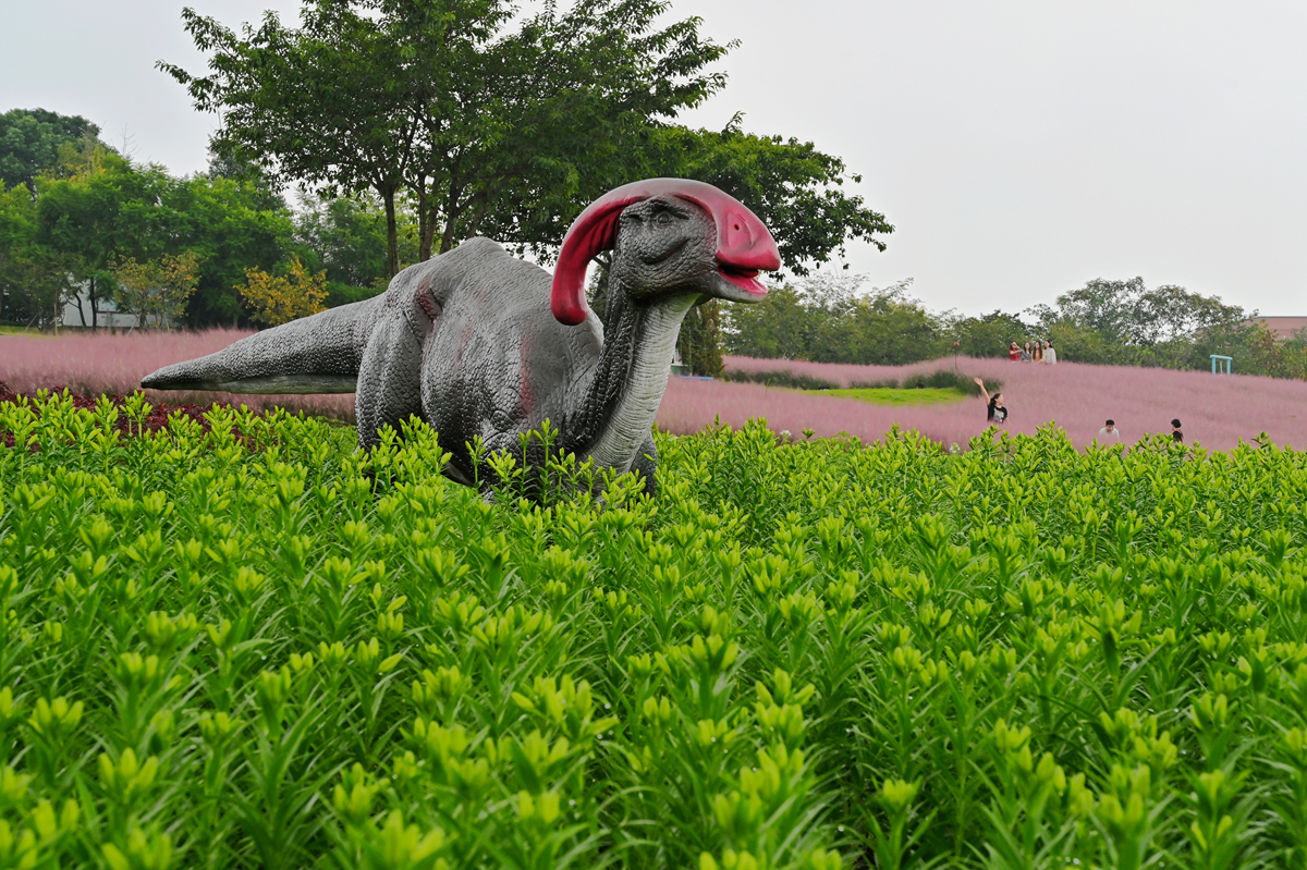 DSC_0125_����.jpg