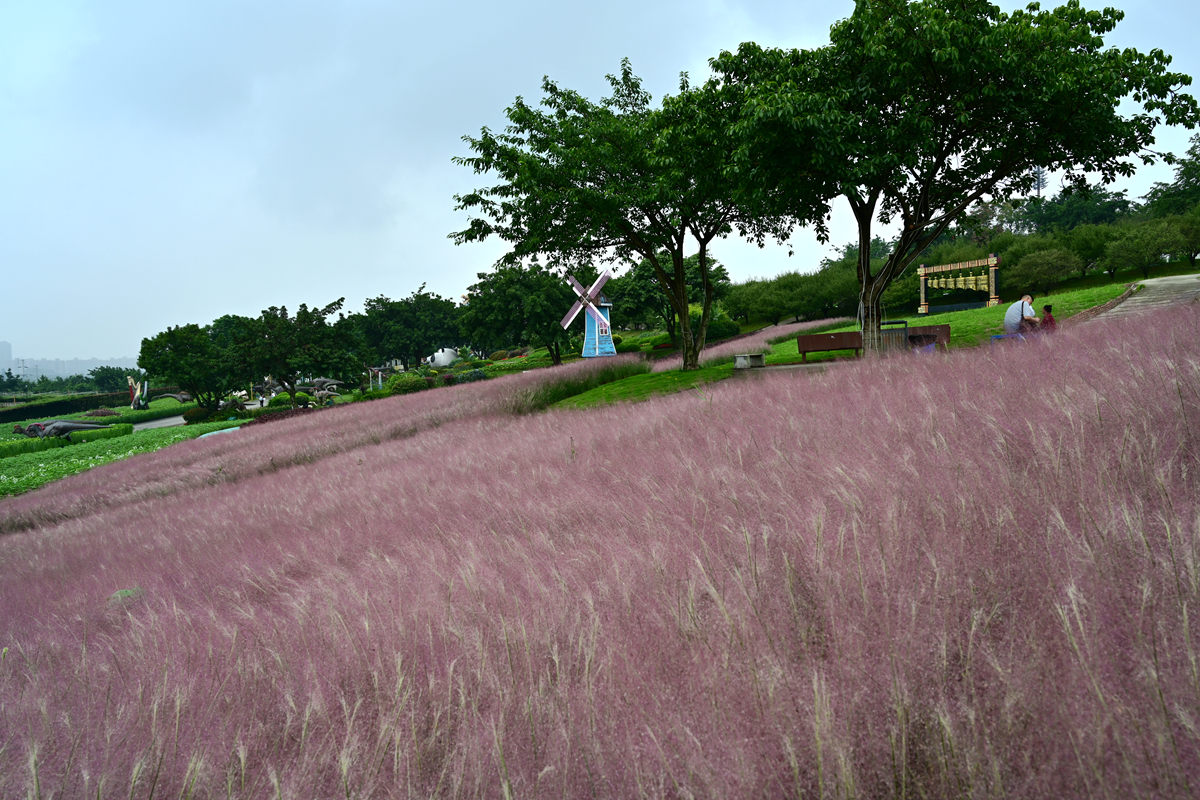 DSC_0011_����.jpg