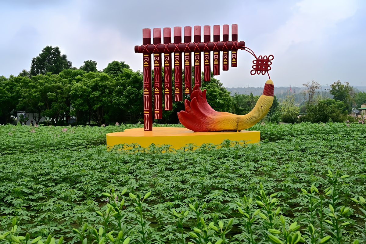 DSC_9977_����.jpg