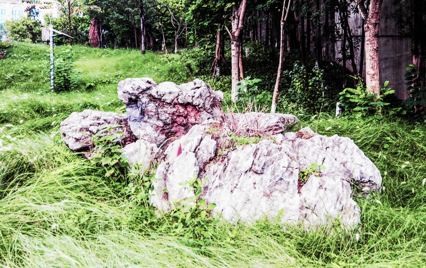 GLL_1706.JPG