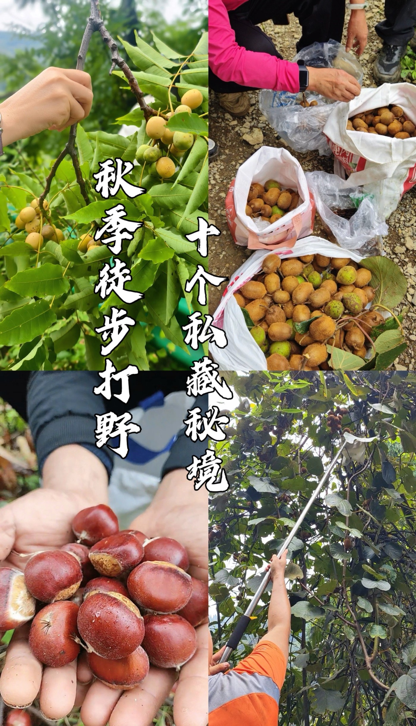 image_1.jpg