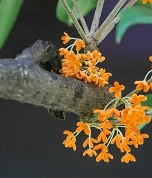 image_7.jpg